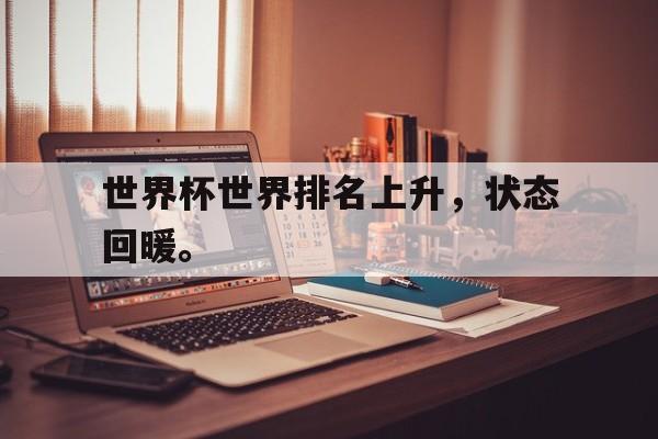 乐动体育-世界杯世界排名上升，状态回暖。