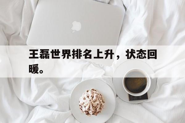 乐动体育-王磊世界排名上升，状态回暖。