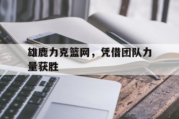 乐动体育官方网站-雄鹿力克篮网，凭借团队力量获胜