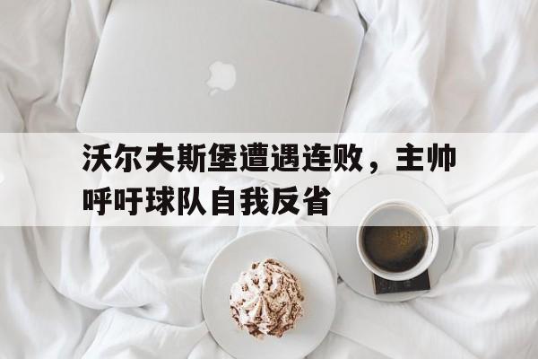 乐动体育官方网站-沃尔夫斯堡遭遇连败，主帅呼吁球队自我反省